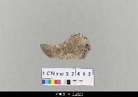 藏品(中國湖北皮影戲盔帽-合掌)的圖片